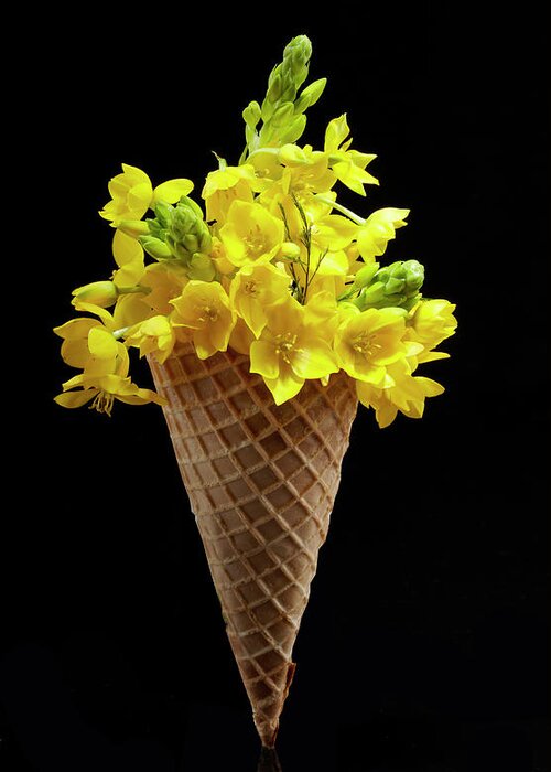 Black Background Greeting Card featuring the photograph Flower Ice Cream Cone by Shana Novak