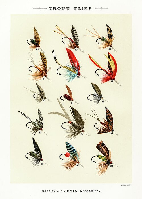 David Letts Greeting Card featuring the drawing Fly Fishing Lures 13 by David Letts
