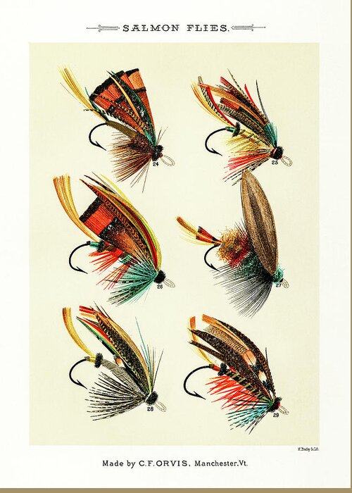 Fly Fishing Lures 3 Greeting Card
