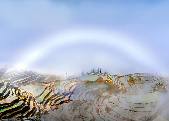 Fog Greeting Card featuring the photograph Fog Bow In Rice Terraces by Hua Zhu