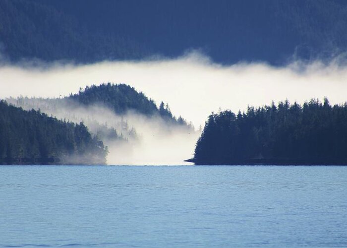 Fog Greeting Card featuring the photograph Fog Narrows by Fred Bailey