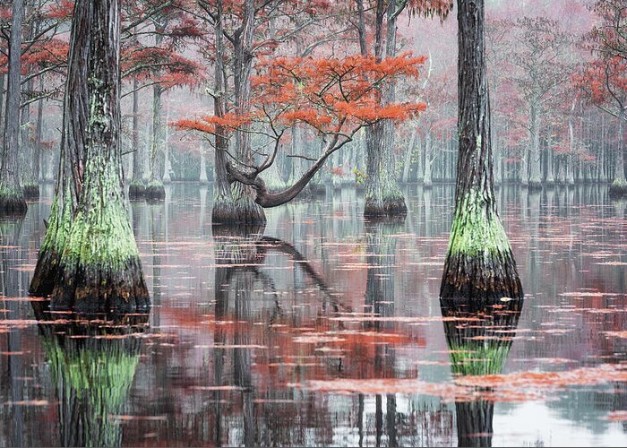Abstract Greeting Card featuring the photograph Foggy Morning at the Cypress Lake - 3 by Alex Mironyuk