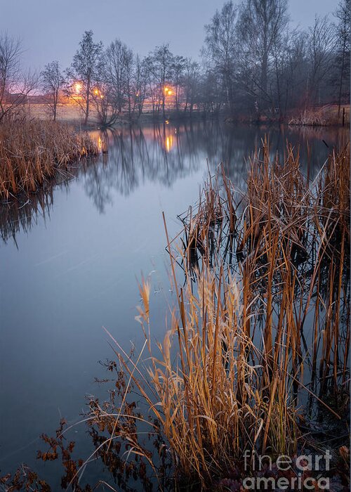 Sweden Greeting Card featuring the photograph Foggy pond landscape in evening by Sophie McAulay