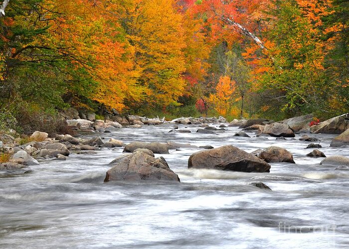 Vermont Greeting Card featuring the photograph Foliage Along the River by Steve Brown