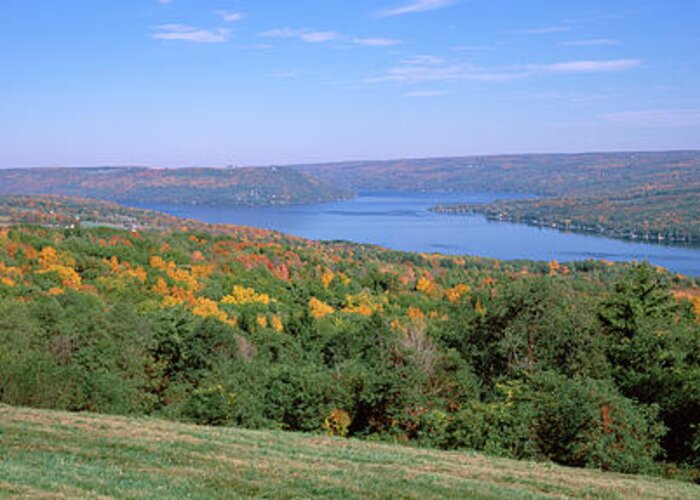 Photography Greeting Card featuring the photograph Forest At The Lakeside, Keuka Lake by Panoramic Images