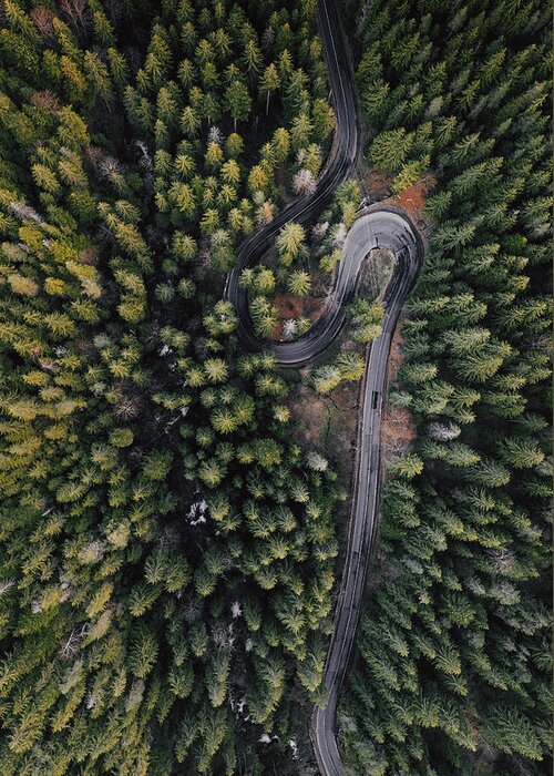 Drone Greeting Card featuring the photograph Forest Vibes by Angyalosi Beáta