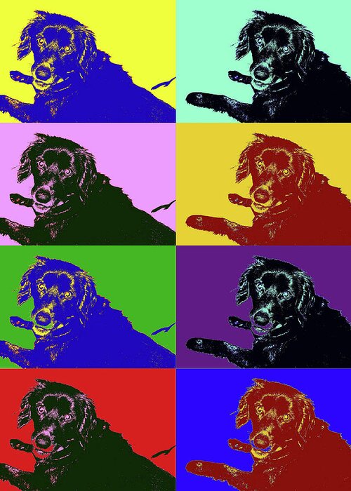 Dog Greeting Card featuring the photograph Foster Dog Pop Art by Kathy K McClellan