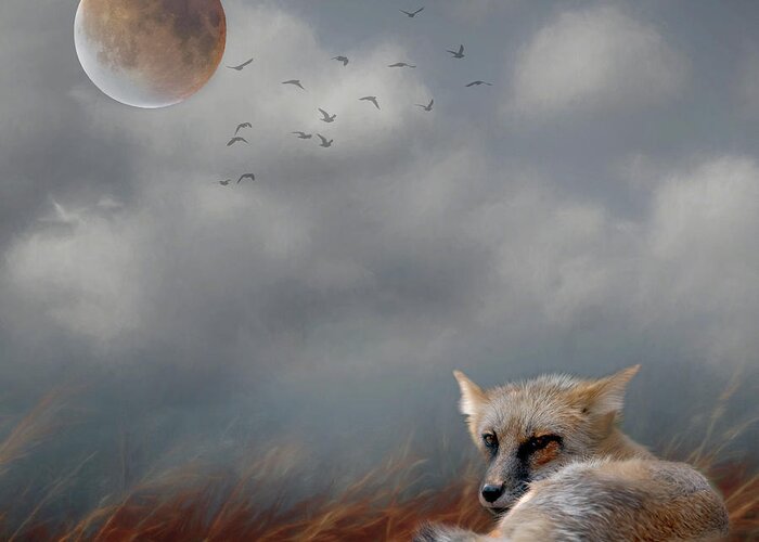 Fox Greeting Card featuring the photograph Fox in Moonlight Square by Rebecca Cozart
