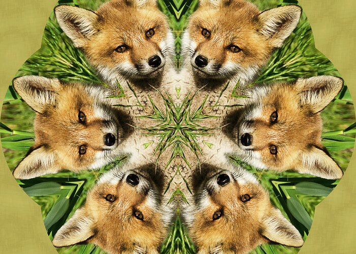 Kaleidoscope Greeting Card featuring the photograph Fox by Minnie Gallman