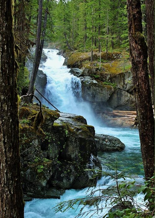 Silver Falls Greeting Card featuring the photograph Framing Silver Falls by Lkb Art And Photography