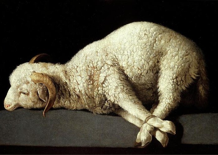Agnus Dei (the Lamb Of God) Greeting Card featuring the painting Francisco de Zurbaran / 'Agnus Dei -The Lamb of God-', 1635-1640, Spanish School. by Francisco de Zurbaran -c 1598-1664-