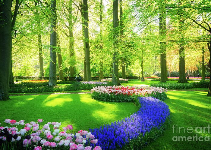 Landscape Greeting Card featuring the photograph Fresh Spring Park by Anastasy Yarmolovich