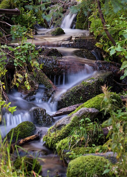 Fresh Water Greeting Card featuring the photograph Cascading Creek by David L Moore