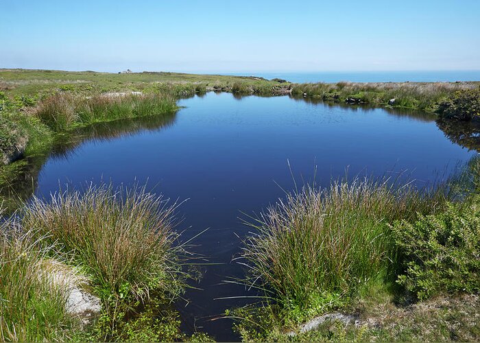 Standing Water Greeting Card featuring the photograph Freshwater Pool On Lundy Island by Allan Baxter