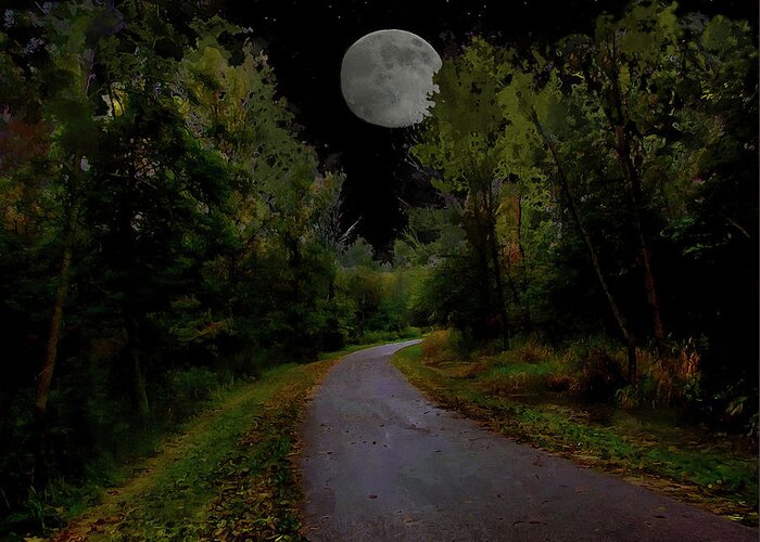 Landscape Greeting Card featuring the photograph Full Moon Over Forest Trail by Cedric Hampton