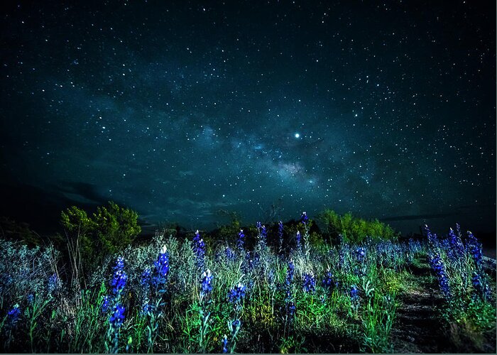 Big Bend Greeting Card featuring the photograph Galactic Bluebonnets by David Morefield