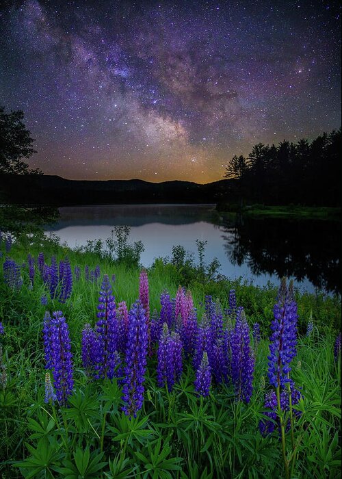 New Hampshire Greeting Card featuring the photograph Galactic Lupines by Rob Davies