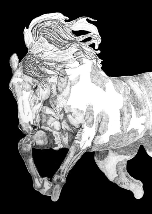 Horse Drawing Greeting Card featuring the drawing Galloping paint horse by Equus Artisan