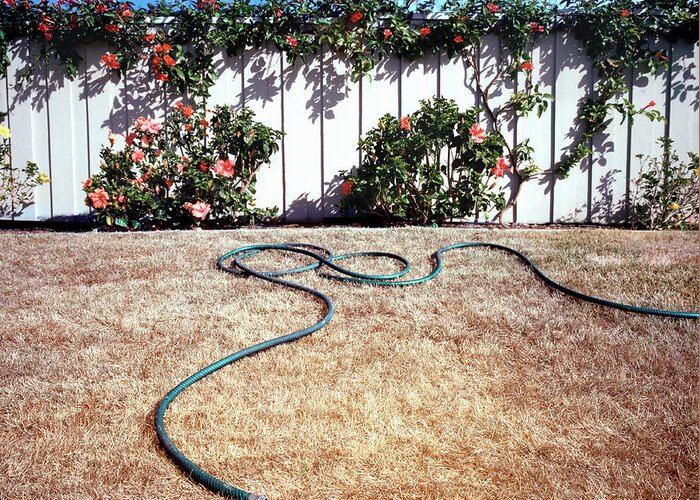 Grass Greeting Card featuring the photograph Garden Hose On Dry Grass by Richard Ross