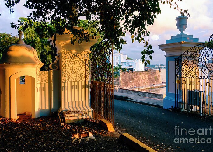Architecture Greeting Card featuring the photograph Gates to La Fortaleza by George Oze