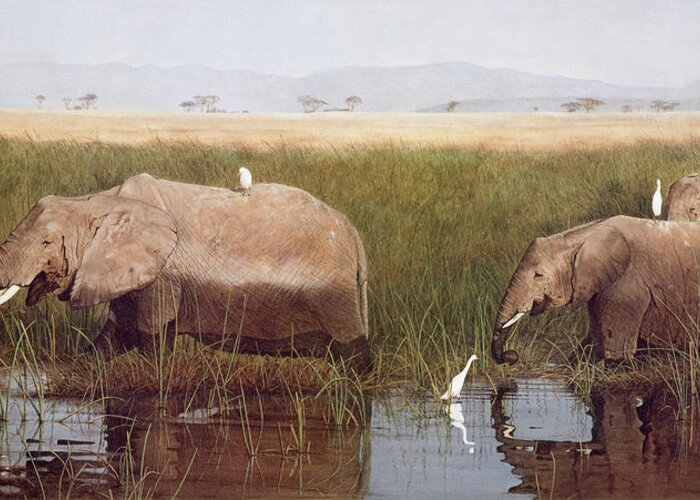Three Elephants Wading In The Water Greeting Card featuring the painting Gentle Giants by David Knowlton