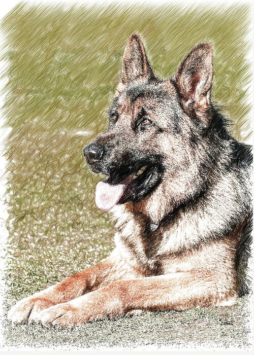 Portrait Greeting Card featuring the drawing German Shepherd Dog - DWP1350428 by Dean Wittle