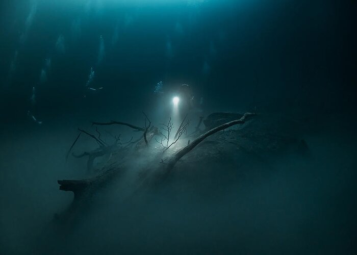 Underwater Greeting Card featuring the photograph Ghostly Island by Jennifer Lu