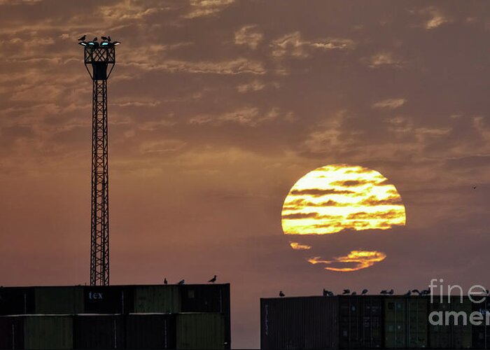 Bright Greeting Card featuring the photograph Giant Sun at Sunrise Cadiz Harbour by Pablo Avanzini