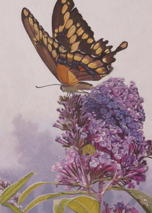 Butterfly Greeting Card featuring the painting Giant Swallowtail by Rusty Frentner