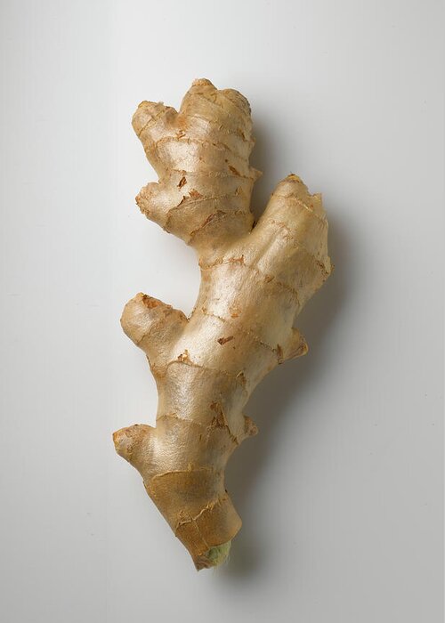 White Background Greeting Card featuring the photograph Ginger Root On White by Howard Bjornson