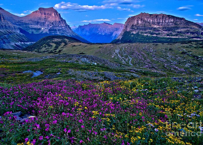 Logan Pass Greeting Card featuring the photograph Glacier Landscape Of Color by Adam Jewell