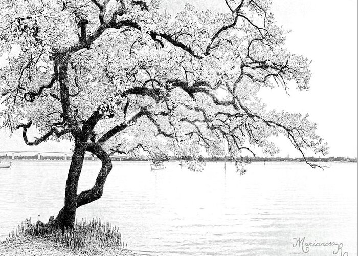 Nature Greeting Card featuring the digital art Gnarled in Black and White by Mariarosa Rockefeller
