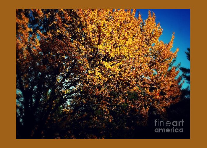 Tree Greeting Card featuring the photograph Gold on Gold by Frank J Casella