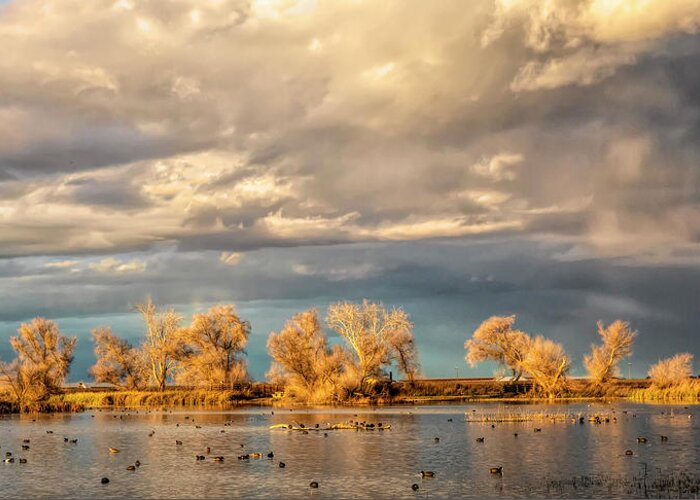 California Greeting Card featuring the photograph Golden Hour in the Refuge by Cheryl Strahl