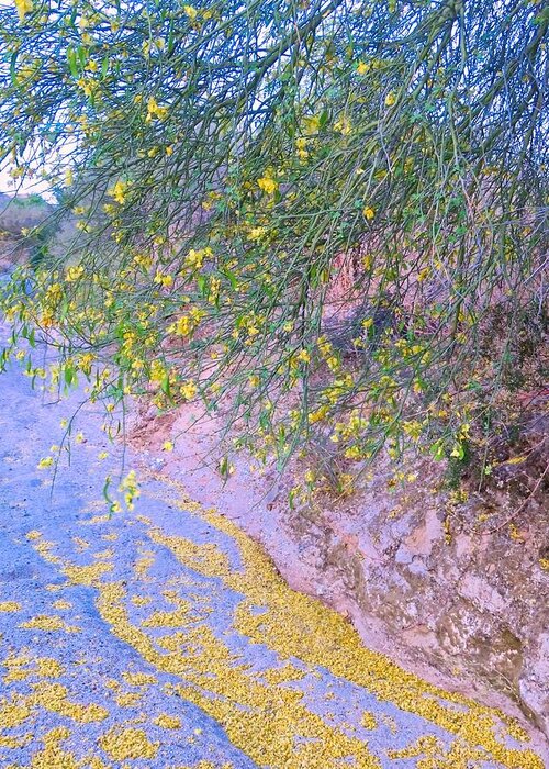 Arizona Greeting Card featuring the photograph Golden Petals in a Desert Wash by Judy Kennedy