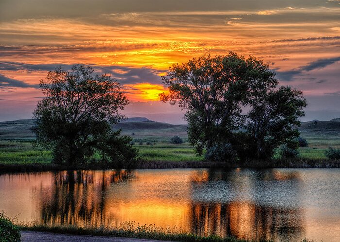 Sunrise Greeting Card featuring the photograph Golden Pond by Fiskr Larsen