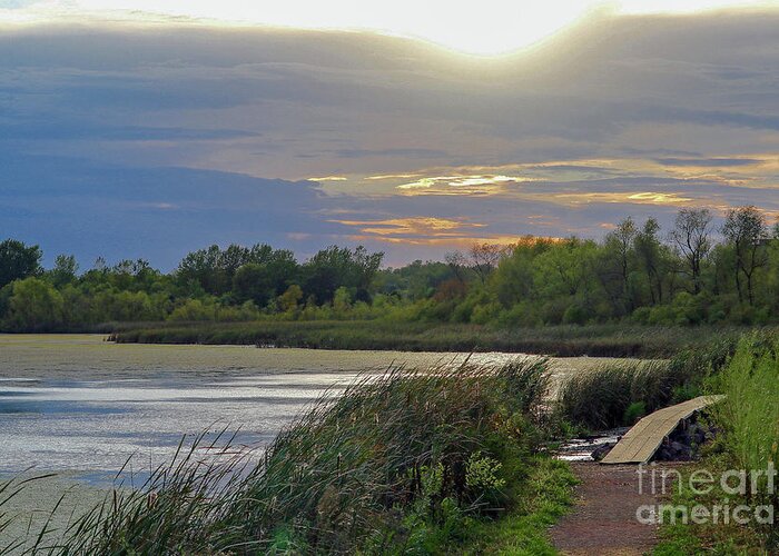 Wetland Greeting Card featuring the photograph Golden Sunset over Wetland by Susan Rydberg