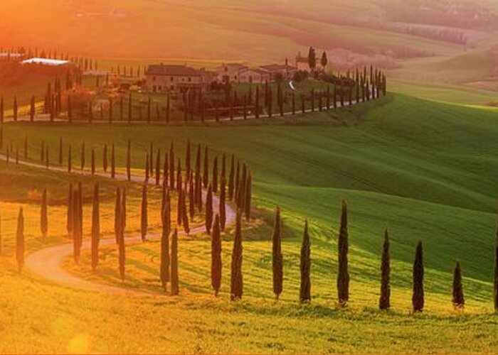 Tuscany; Villa; Green; Hills; Italy; Belvedere; Val D'orcia; Cypress; Trees; Beautiful; Countryside; Sunset; Rolling; Italia; Toscana; Rob Davies; Robert Davies; Landscape; Gold; Sun; Flare; Lens Flare; Panorama; Gladiator; Location; S Shape; Road; Classic Greeting Card featuring the photograph Golden Tuscany II by Rob Davies