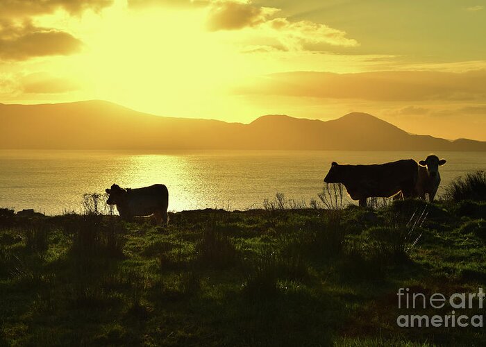 Sunrise Greeting Card featuring the photograph Good morning Ireland by Joe Cashin