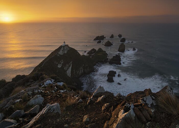 Ocean Greeting Card featuring the photograph Good Morning, Kaka Point! by Yan Zhang