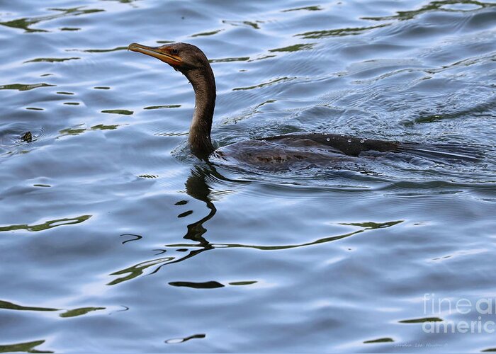 Bird Greeting Card featuring the photograph Good Morning Mr. Turtle Said The Great Cormorant by Sandra Huston