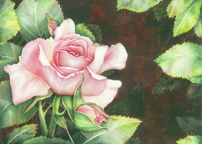 Rose Greeting Card featuring the painting Grace by Lori Taylor