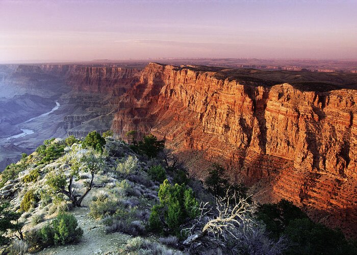 Scenics Greeting Card featuring the photograph Grand Canyon, Arizona by Steve Satushek