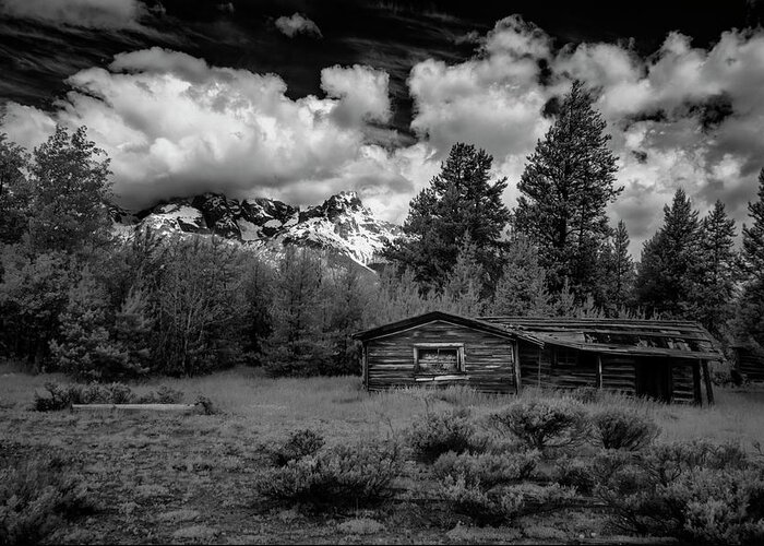 Black And White Greeting Card featuring the photograph Grand Teton Cabin II by Jon Glaser