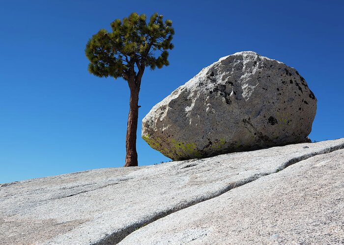 Scenics Greeting Card featuring the photograph Granite And Tree by Lucynakoch