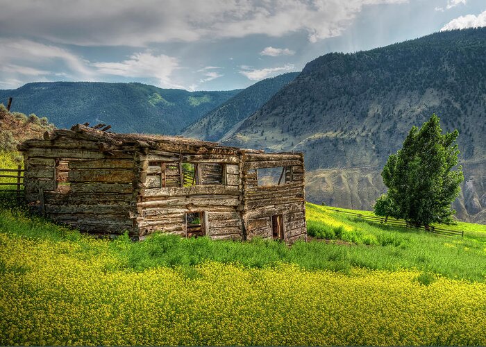 Fraser Canyon Greeting Card featuring the photograph Grasslands Cabin by Doug Matthews