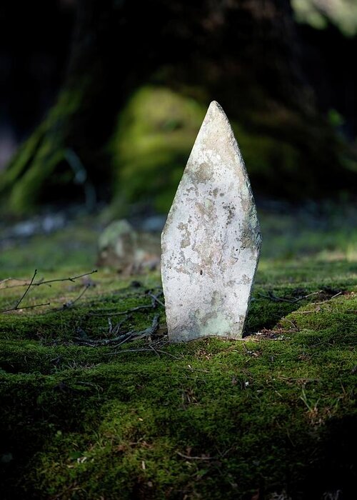 Gravestone Greeting Card featuring the photograph Gravestone Under a Tree by T Lynn Dodsworth