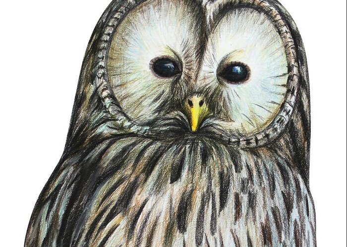 Owl Portrait Illustration Drawing Greeting Card featuring the digital art Gray Owl Portrait Drawing by Viktoriya art