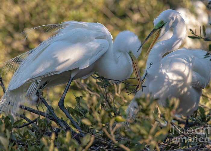 Egrets Greeting Card featuring the mixed media Great Egrets Precious Moment by DB Hayes
