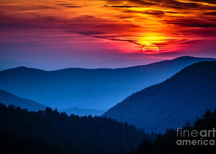 Forest Greeting Card featuring the photograph Great Smoky Mountains National Park by Weidman Photography
